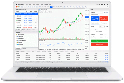 MetaTrader 5 市场深度界面
